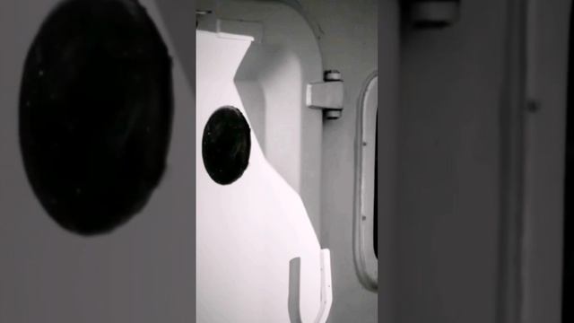 20 млн бут пива и ни одного бинокля...#shorts  #binoculars