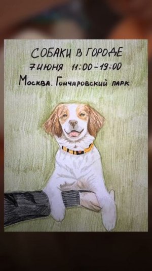 Главные участники фестиваля «Собаки в городе» глазами детей😍