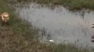 Стоять насмерть за семью
