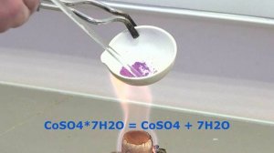 прокаливание CoSO4x7H2O: из розового в сиреневый