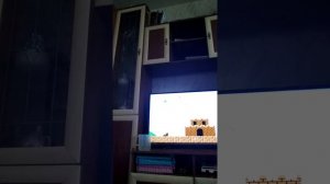 Марио наоборот