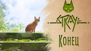 прохождение Stray. Продолжение "Тюрьма" . "Центр Управления". Конец Игры .