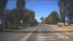 шума-хер-вид-сзади