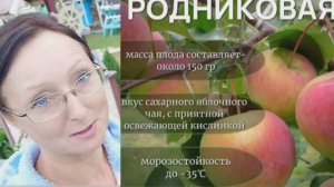 Видео привет с 6 соток 1 июня 2025 года