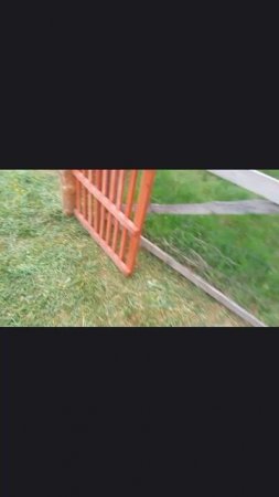 Про возраст и мотоциклы, юмор кому за сорок.