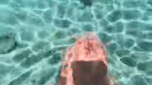 Акварельные глубины: Съёмка в 4К на Багамских рифах