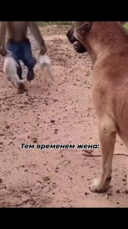 прихожу уставший домой с работы