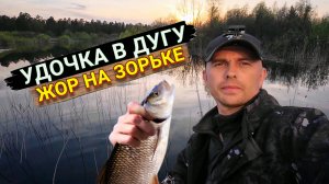 На рыбалку в глушь. Поплавок снова спас рыбалку.