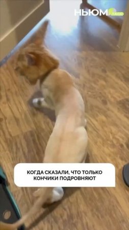 Хорошо хоть челку не подстригли.