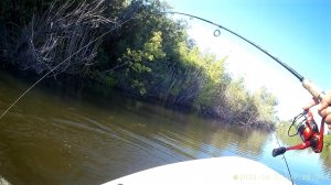 2025-06-02 Второй день лета на Ключиках