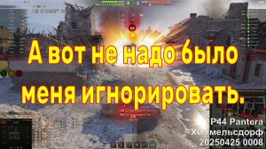 А вот не надо было меня игнорировать. P44 Pantera. Химмельсдорф. 20250425 0008.