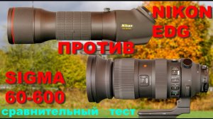 Nikon EDG против Сигма 60-600. Тесты