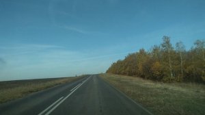 Дорога от Романовки до Бобылёвки, Романовский район.