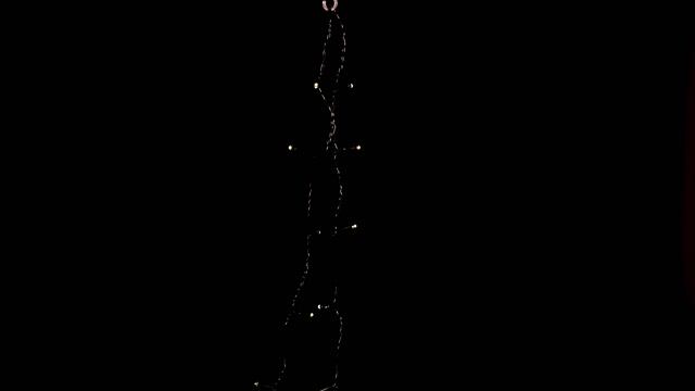 Гирлянда на солнечной батарее Lumineo Solar Caro, 897781, 897782, 897783, смотреть онлайн