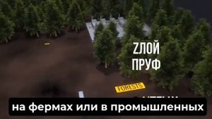 КАК ЗАПУСКАЛИСЬ ДРОНЫ ИЗ ФУР