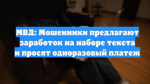 МВД: Мошенники предлагают заработок на наборе текста и просят одноразовый платеж