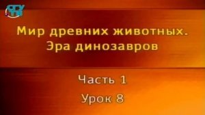 Динозавры # 1.8. Купологоловые динозавры