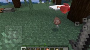 Новый дружок U^ェ^U LP.Волшебные Приключения #1