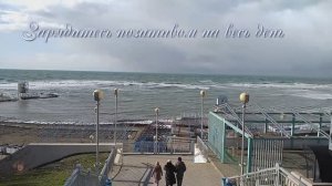 Мотивация жизни....Музыка Андрея Обидина "Лебеди "🎵 🎵.