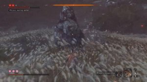 Sekiro: Shadows Die Twice| Иссин, Мастер меча