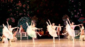 Тщетная предосторожность 1.02.19 (фрагменты)