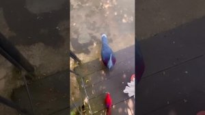 Я пропагандирую счастье!!! Я за любовь и гармонию во всем ❤️☯️