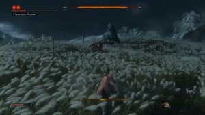 Sekiro: Shadows Die Twice что будет если победить Генитиро Асина