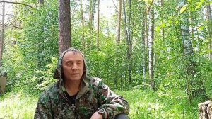 Насекомое не помеха войти в лес.
