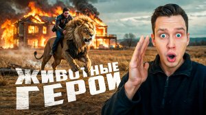 Животные-герои, которые спасли жизни людей