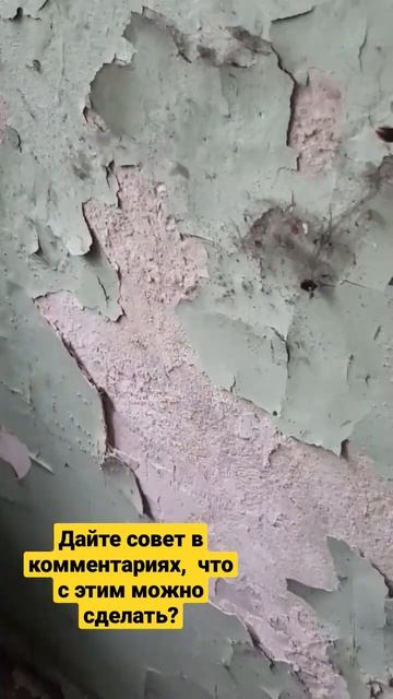 Чем можно обустроить стены? #ремонт #стройка #стены #ги? смотреть онлайн