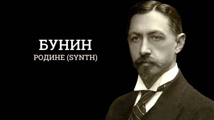 Бунин - Родине (synth)