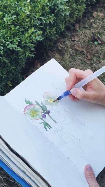 Апрельские пленэры в Аптекарском огороде | рисование ? смотреть онлайн