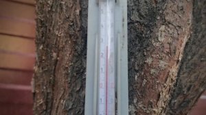 Температура воздуха 2025.06.03