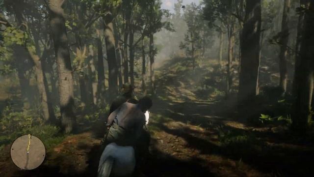 RDR 2 -Мудрость старейшин