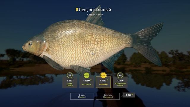 трофей лещ восточный на р.ахтуба #shorts #лещ