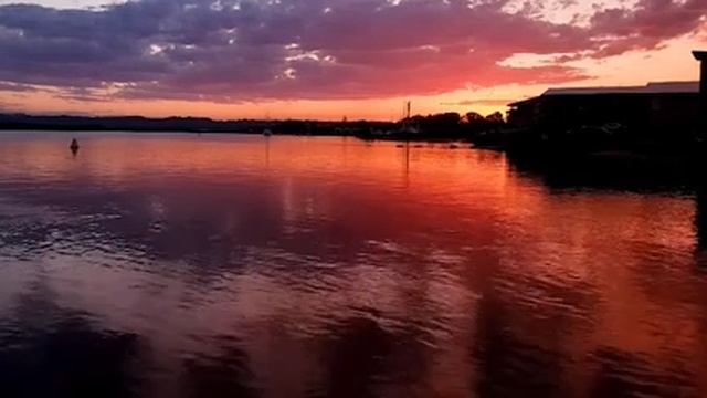 Цитаты из жизни