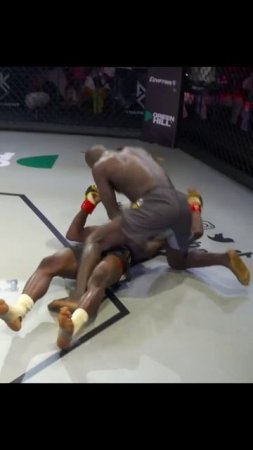 Лучшие нокауты Подпишись и ставь лайк #ufc #mma #youtube #sports #tiktok #shortsvideo #russia #box