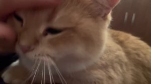 Умная Хакамада: Люди послушайте меня 5 минут! ВЫХОД ЕСТЬ! Хакамада май 2022 последнее интервью