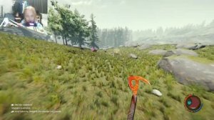 Прохождение игры The Forest