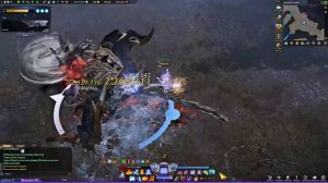 [ Lost Ark Вескаль | 1630 Сорка соло ]