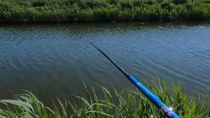 Обычный день у воды — и в этом кайф