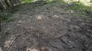 жаркий прохват до медведь камня на регулмото ср-х 300 про