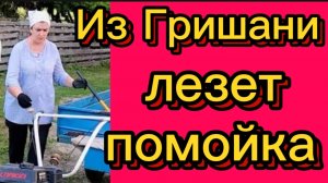 Подлый лентяй. Деревенский дневник.