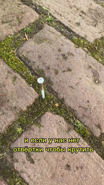 Инструкция - 043 #инструкция #каксделать #знания #как #мо? смотреть онлайн