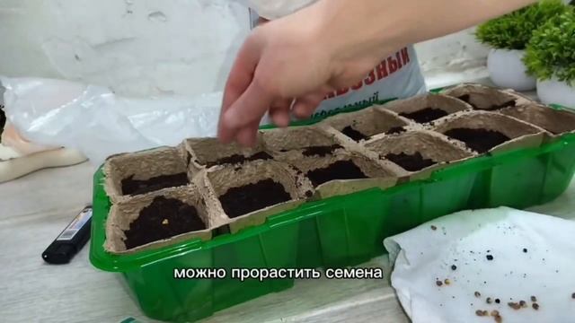 Выращиваем редис дома🫚 смотреть онлайн