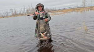 Мощные Язёвые поклевки чуть ли не на каждом забросе. Рыбалка на ультралайт.