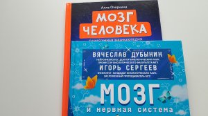 Обзор энциклопедий про мозг человека