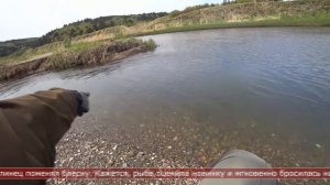 03.06.2025 Сахалинские блоги. МАКСИМ СОРОКА. Бешенный клёв симы и кунджи на острове Сахалин