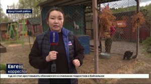 За истощенным медвежонком ухаживают в Сибирском зоопарке в Николе