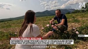 Миллион лепестков: на полях Алушты начался сбор розы